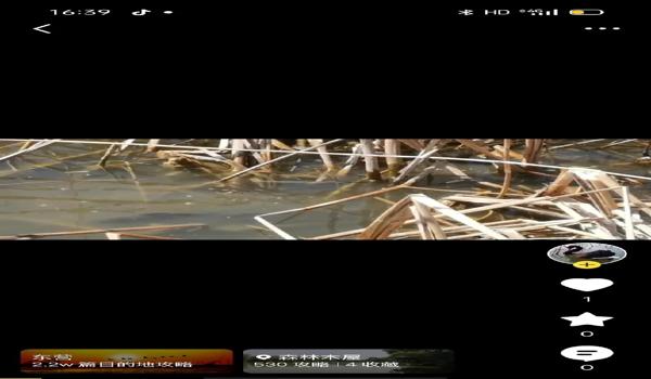 三角洲行动手游免费怎么下载(给我一个《三角洲行动》手游的免费下载链接) 三角洲行动手游免费怎么下载(给我一个《三角洲行动》手游的免费下载链接)